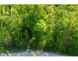 02 Mink Lake Road, North Algona Wilberforce, ON K0J1T0 Photo 10