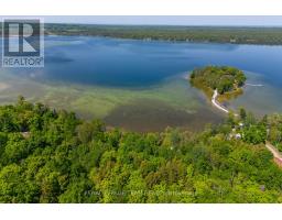 02 Mink Lake Road, North Algona Wilberforce, ON K0J1T0 Photo 17