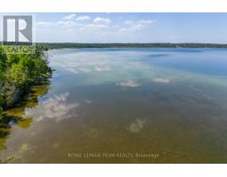 02 Mink Lake Road, North Algona Wilberforce, ON K0J1T0 Photo 7
