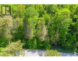 01 Mink Lake Road, North Algona Wilberforce, ON K0J1T0 Photo 9