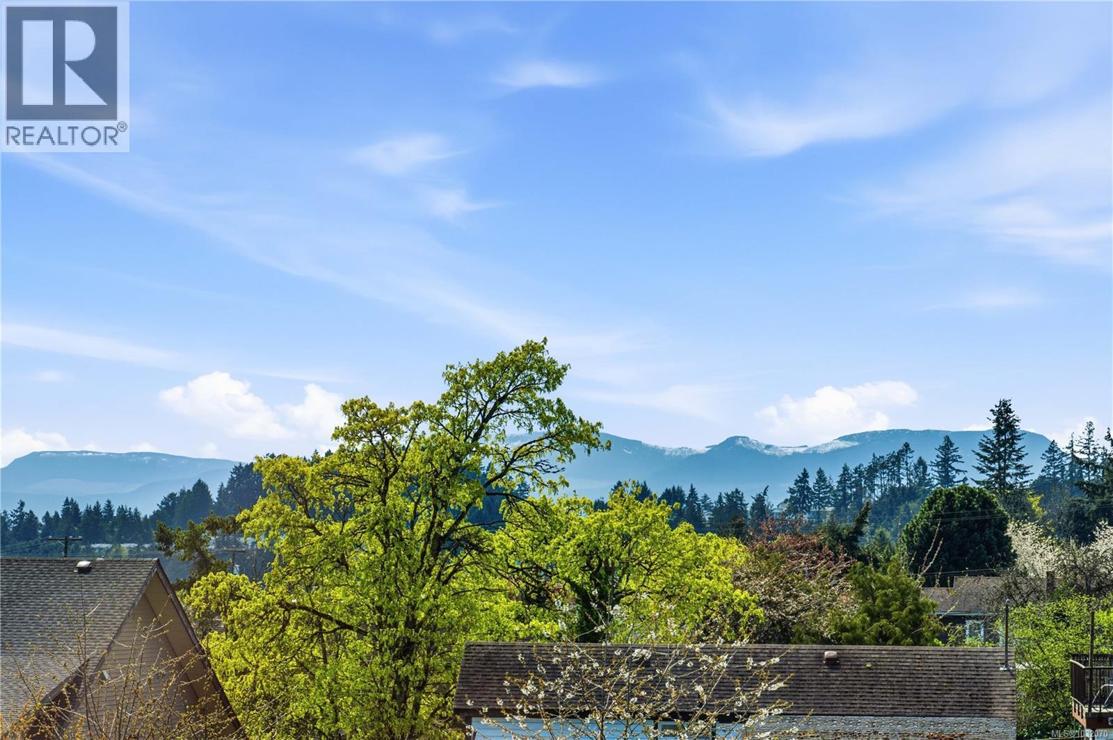 245 SABISTON ST - 52