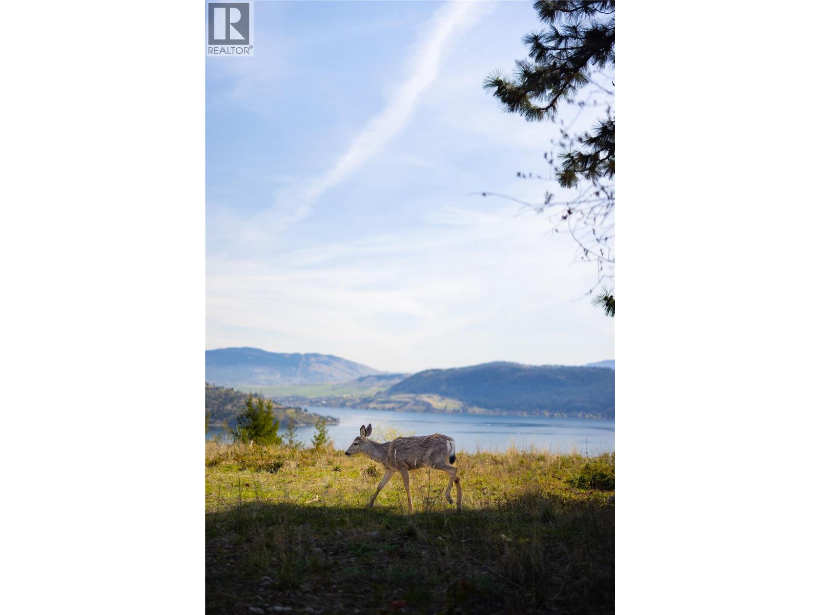 107 Crown Crescent, Vernon