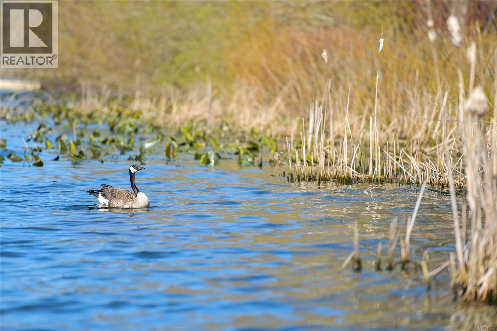 #13 6038 STERLING DR - 43