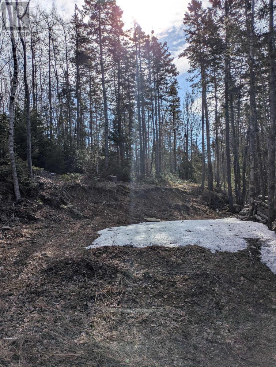 Property 3 of 3 of Lot 1 327 Gabarus Highway