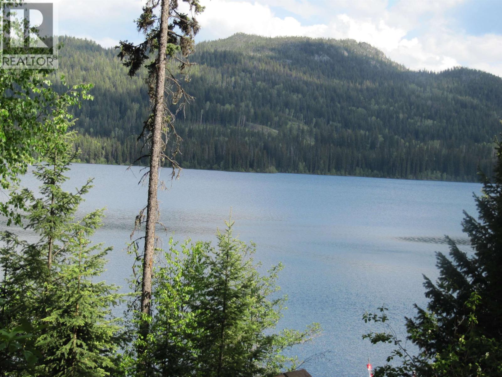 4376 BIRCH LAKE DUMP ROAD - 32