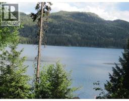 4376 Birch Lake Dump Road, Bridge Lake, BC V0K1E0 Photo 20