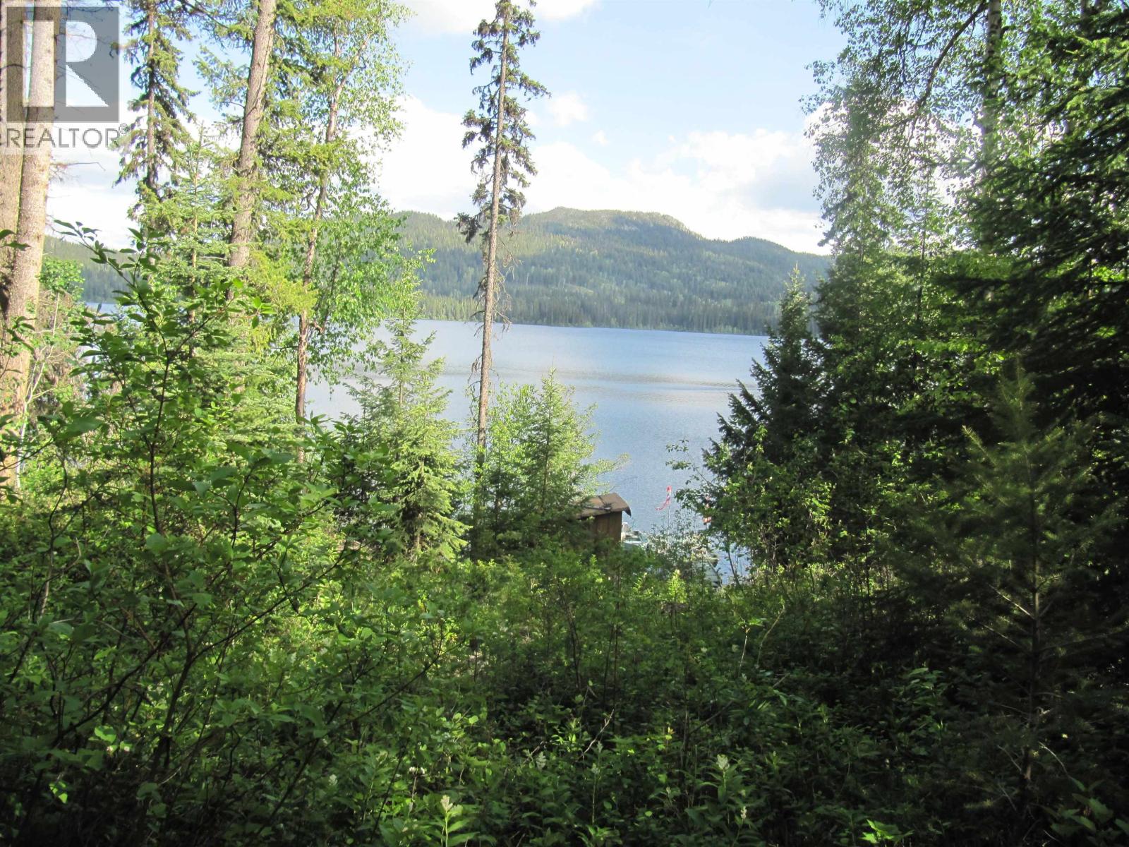 4376 BIRCH LAKE DUMP ROAD - 31