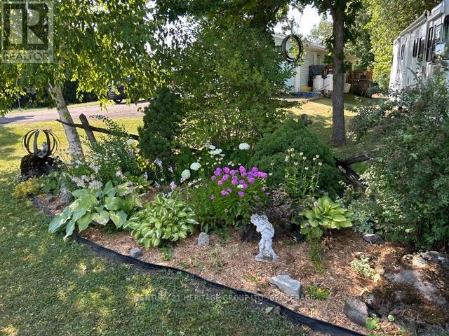 Full Bloom in the summer!