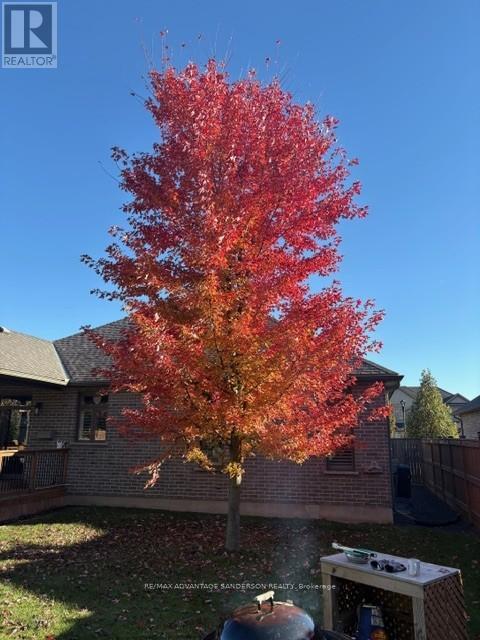 23 MAYAPPLE CRESCENT Property Photo