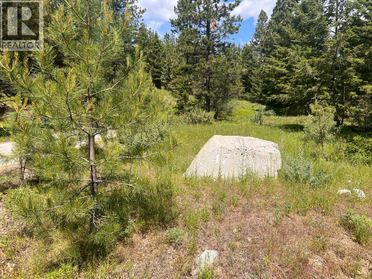 125 SASQUATCH Trail, Osoyoos