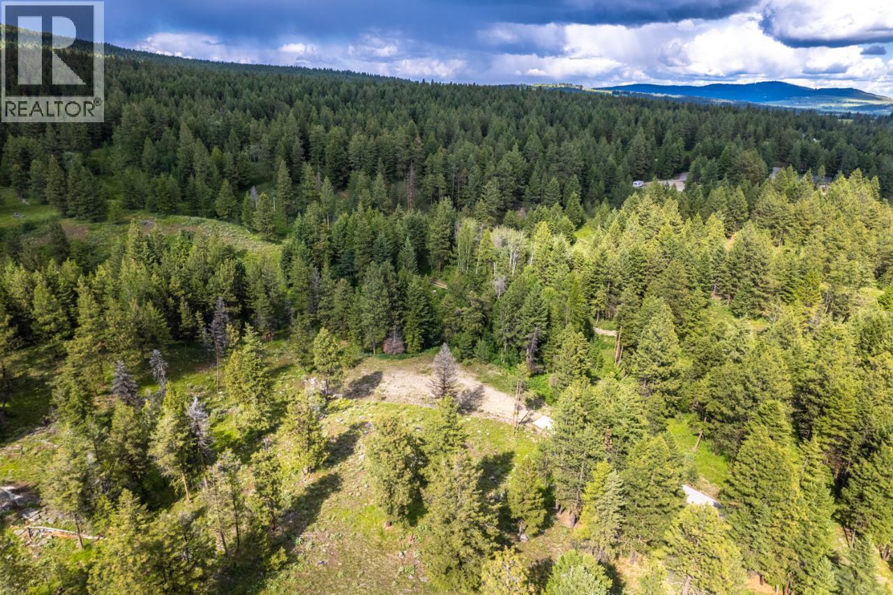 125 SASQUATCH Trail, Osoyoos