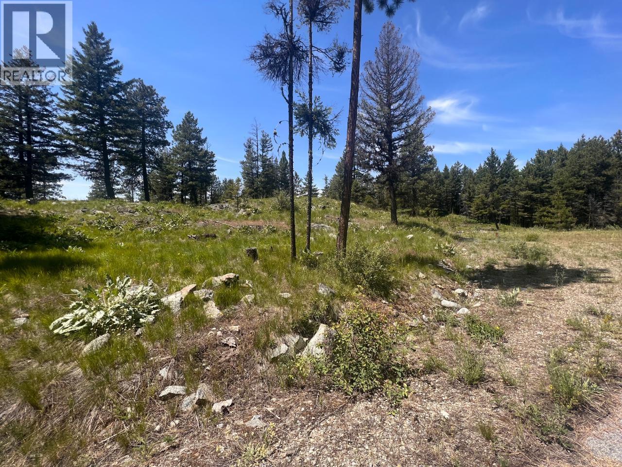 125 SASQUATCH Trail, Osoyoos