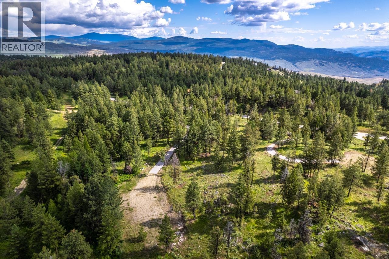 125 SASQUATCH Trail, Osoyoos