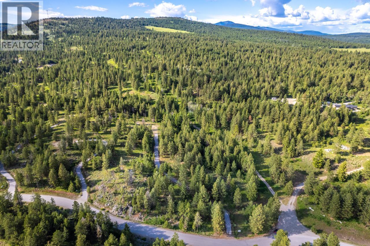 125 SASQUATCH Trail, Osoyoos