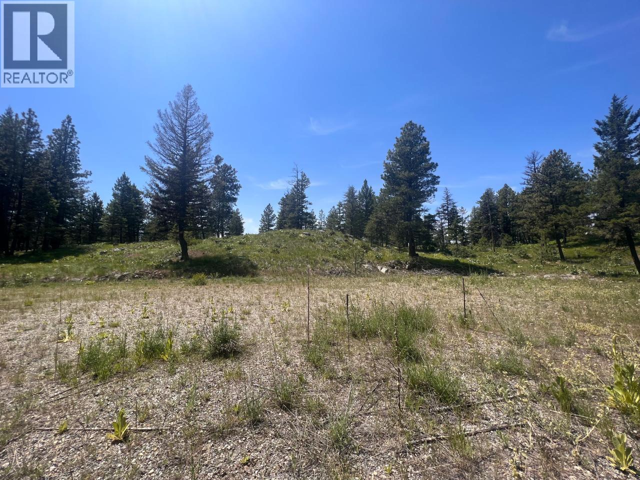 125 SASQUATCH Trail, Osoyoos