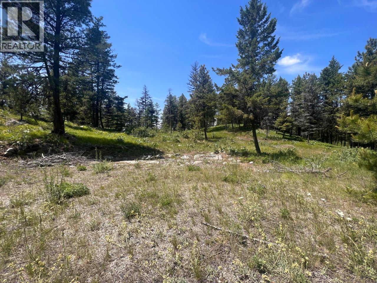125 SASQUATCH Trail, Osoyoos