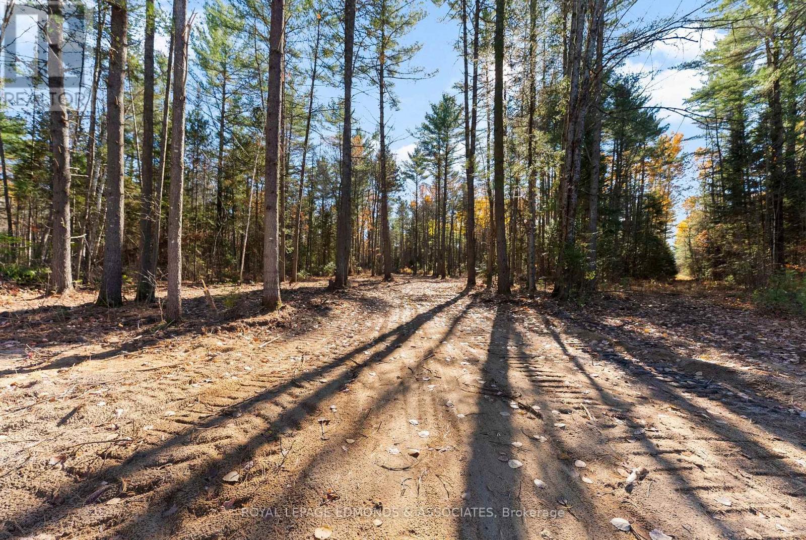 100 NANGOR TRAIL — photo 9