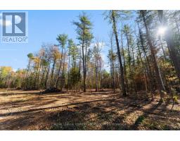 100 Nangor Trail, Whitewater Region, ON K0J2L0 Photo 10