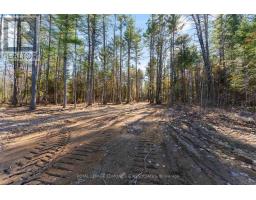 100 Nangor Trail, Whitewater Region, ON K0J2L0 Photo 11