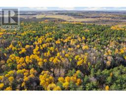 100 Nangor Trail, Whitewater Region, ON K0J2L0 Photo 6