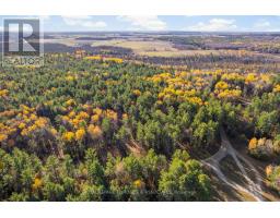 100 Nangor Trail, Whitewater Region, ON K0J2L0 Photo 7
