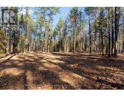 100 Nangor Trail, Whitewater Region, ON K0J2L0 Photo 8