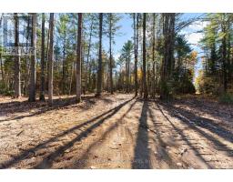 100 Nangor Trail, Whitewater Region, ON K0J2L0 Photo 9