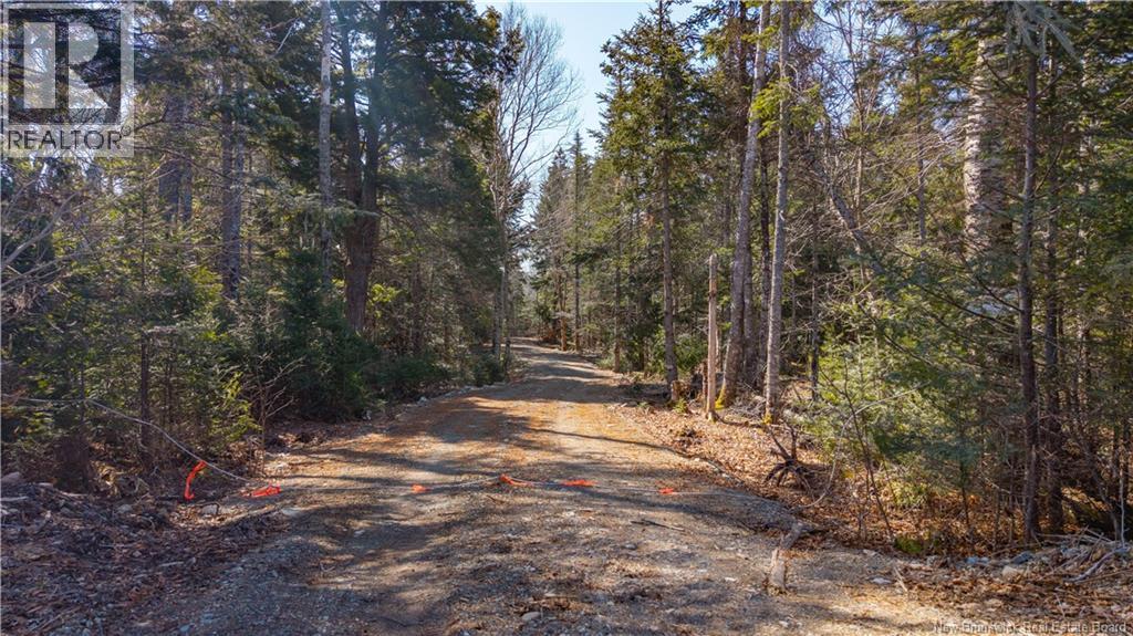 3008 Route 760 — photo 19