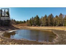 3008 Route 760, Bethel, NB E5C0G2 Photo 34