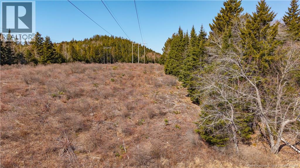 3008 Route 760 — photo 29