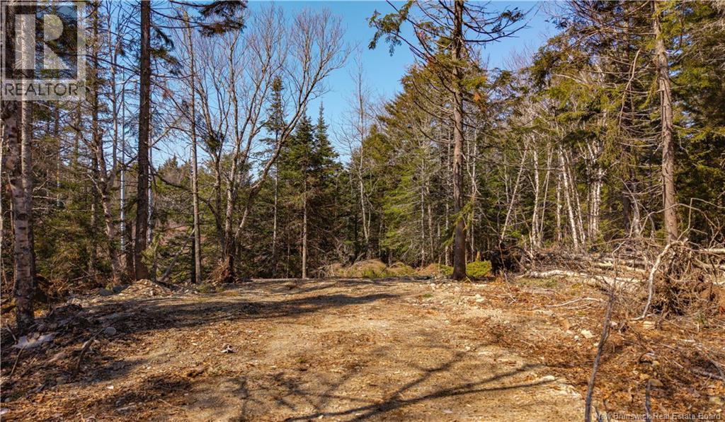 3008 Route 760 — photo 24