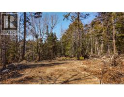 3008 Route 760, Bethel, NB E5C0G2 Photo 24