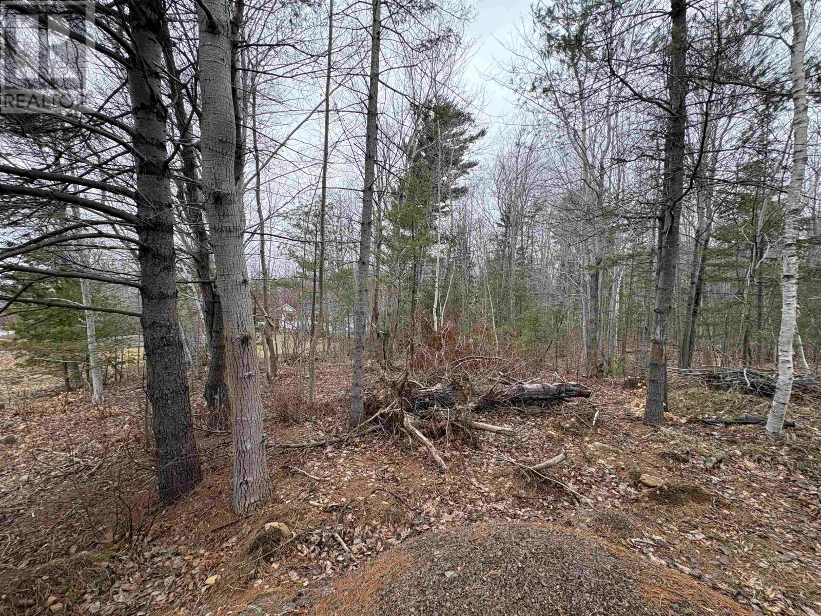 Property 5 of 7 of Lot B Meadowvale Road