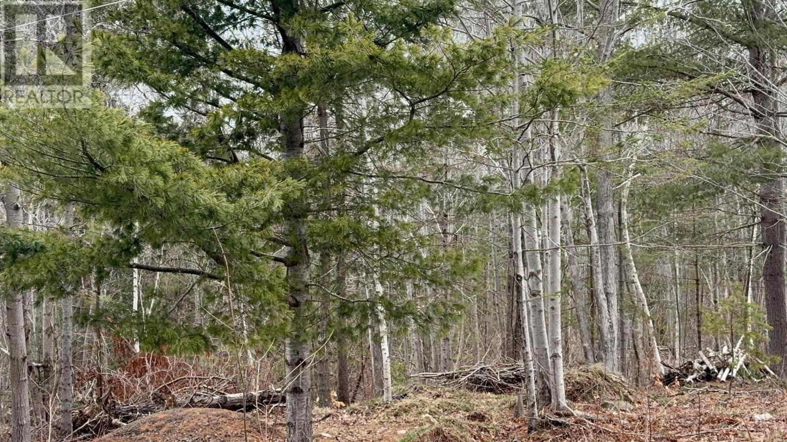 Property 1 of 7 of Lot B Meadowvale Road