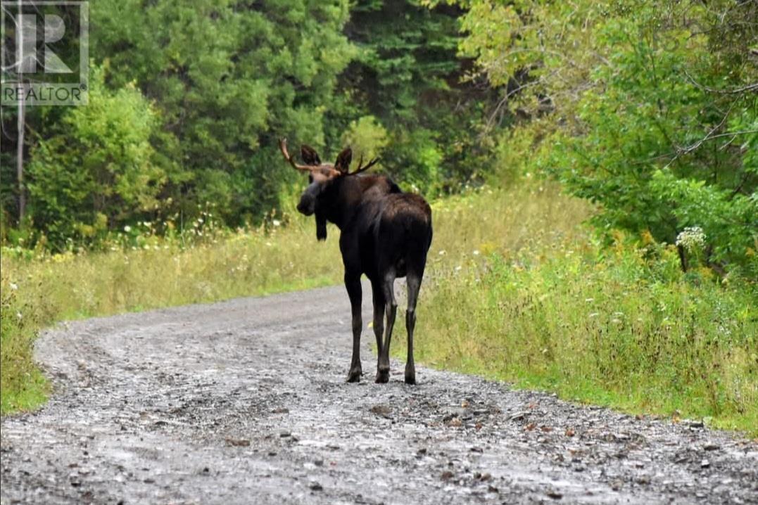 Property 5 of 11 of 0 Goose Harbour Road