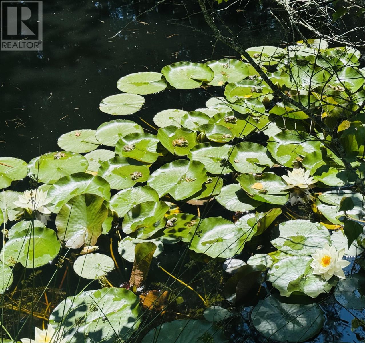 Property 19 of 30 of 181 Pine Drive