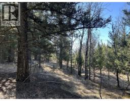 272 Blackstock Road, 100 Mile House, BC V0K2E1 Photo 11