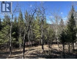 272 Blackstock Road, 100 Mile House, BC V0K2E1 Photo 12