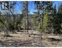 272 Blackstock Road, 100 Mile House, BC V0K2E1 Photo 13