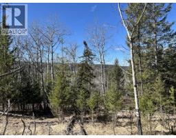 272 Blackstock Road, 100 Mile House, BC V0K2E1 Photo 14