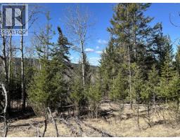 272 Blackstock Road, 100 Mile House, BC V0K2E1 Photo 16