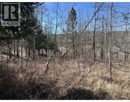 272 Blackstock Road, 100 Mile House, BC V0K2E1 Photo 17