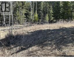 272 Blackstock Road, 100 Mile House, BC V0K2E1 Photo 6