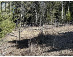 272 Blackstock Road, 100 Mile House, BC V0K2E1 Photo 7