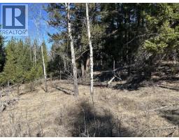 272 Blackstock Road, 100 Mile House, BC V0K2E1 Photo 8