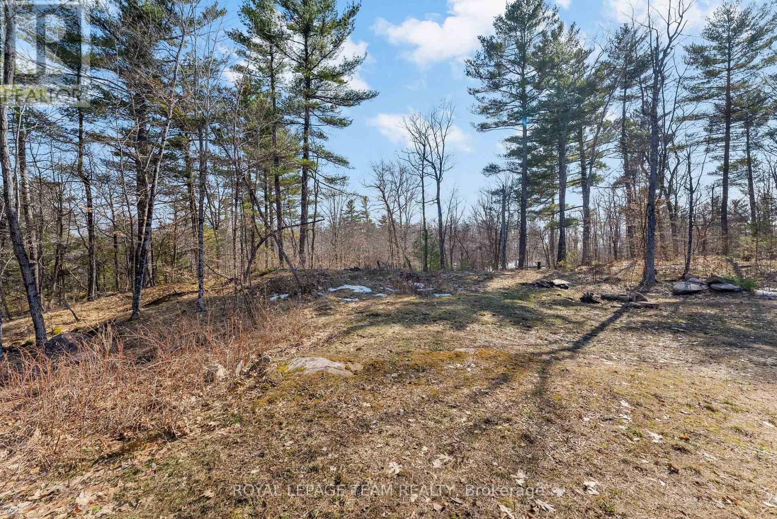 803 BARRETT CHUTE ROAD — photo 33
