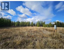 340 Tibbles Road, Quesnel, BC V2J3H9 Photo 7