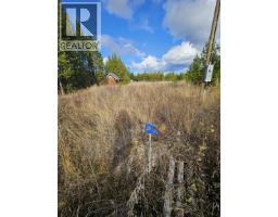 340 Tibbles Road, Quesnel, BC V2J3H9 Photo 6