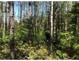38.24 Acres In Ogden Township Pcl 24640, Timmins, ON P4N7C2 Photo 6