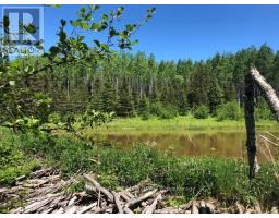 38.24 Acres In Ogden Township Pcl 24640, Timmins, ON P4N7C2 Photo 8